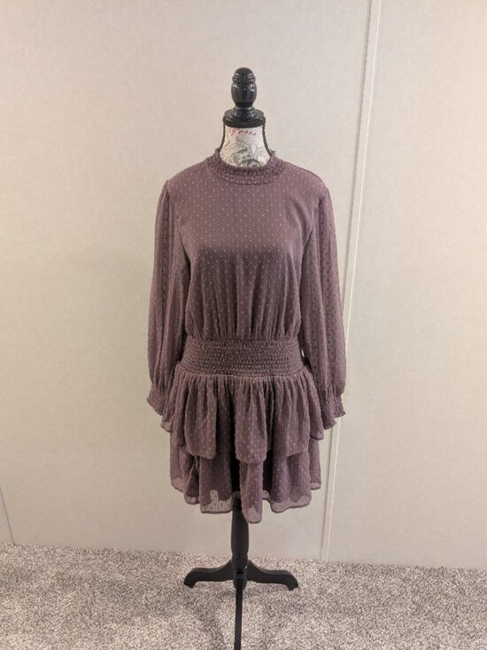 American Eagle Outfitters Dresses & Skirts - American Eagle Mauve Swiss Dot Smocked Tiered Mini Dress Women Large Boho